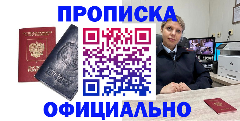 где прописаться в Коле